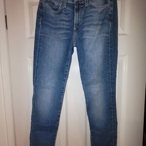 Joe's Jeans Light Blue Skinny Jeans